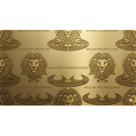 Muller Technologies - Store